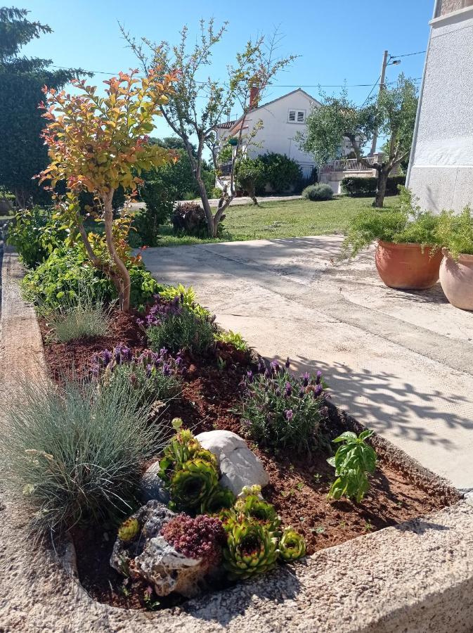 Apartma Antonia